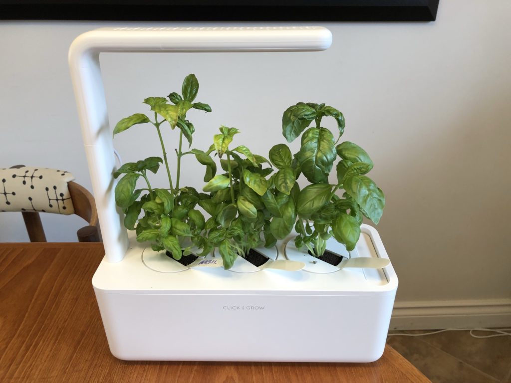 click and grow smart garden 3 review how to