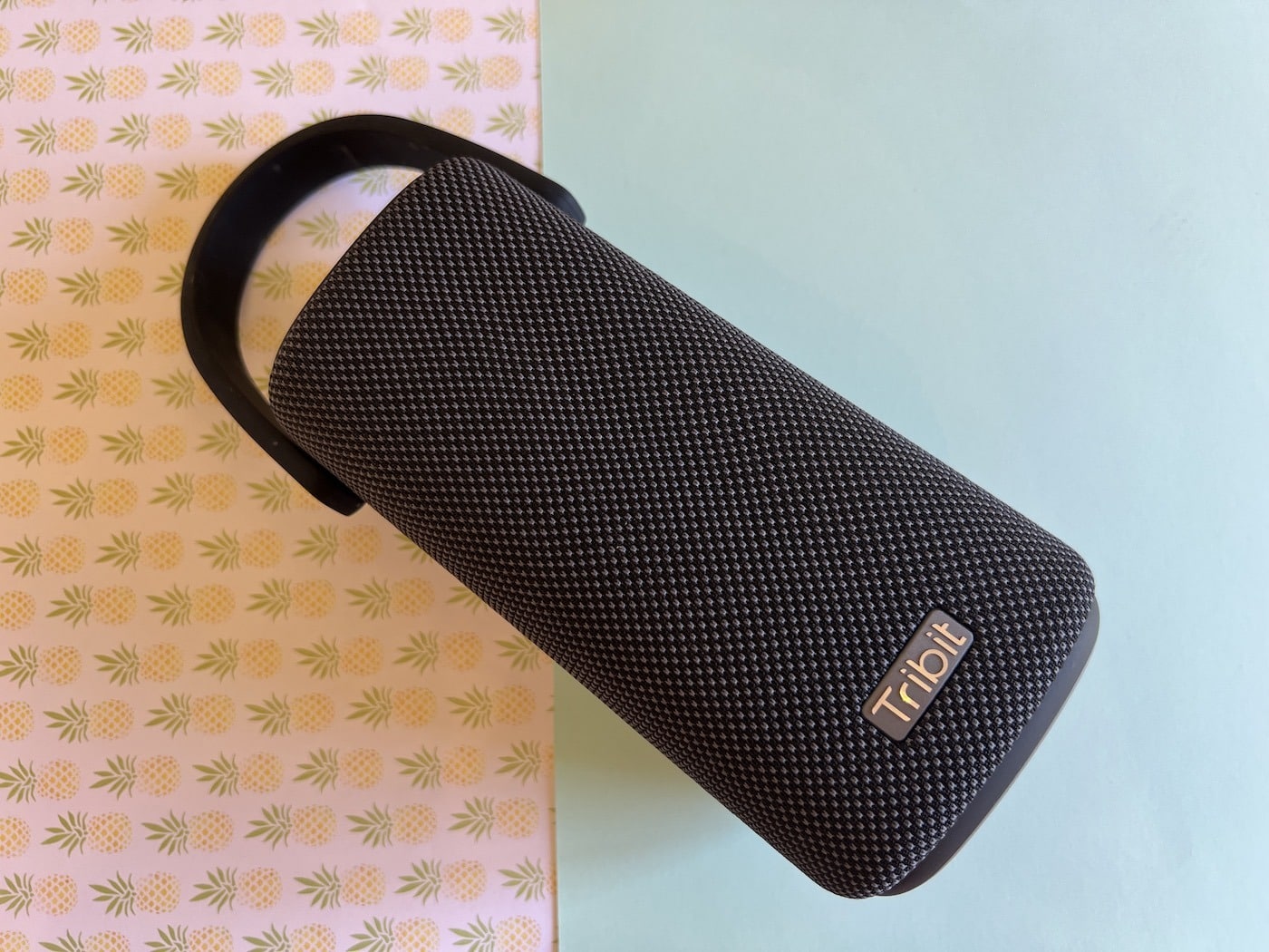 Tribit, stormbox, pro, review, sound, water