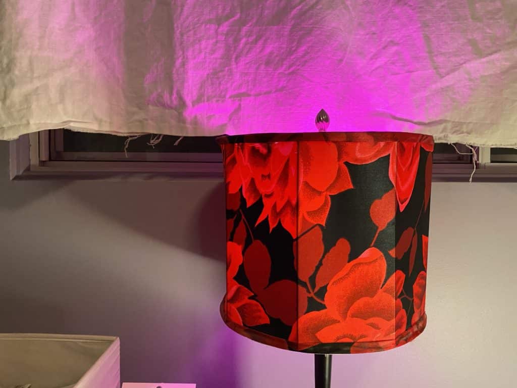 Philips hue, starter kit, bridge, colour, color