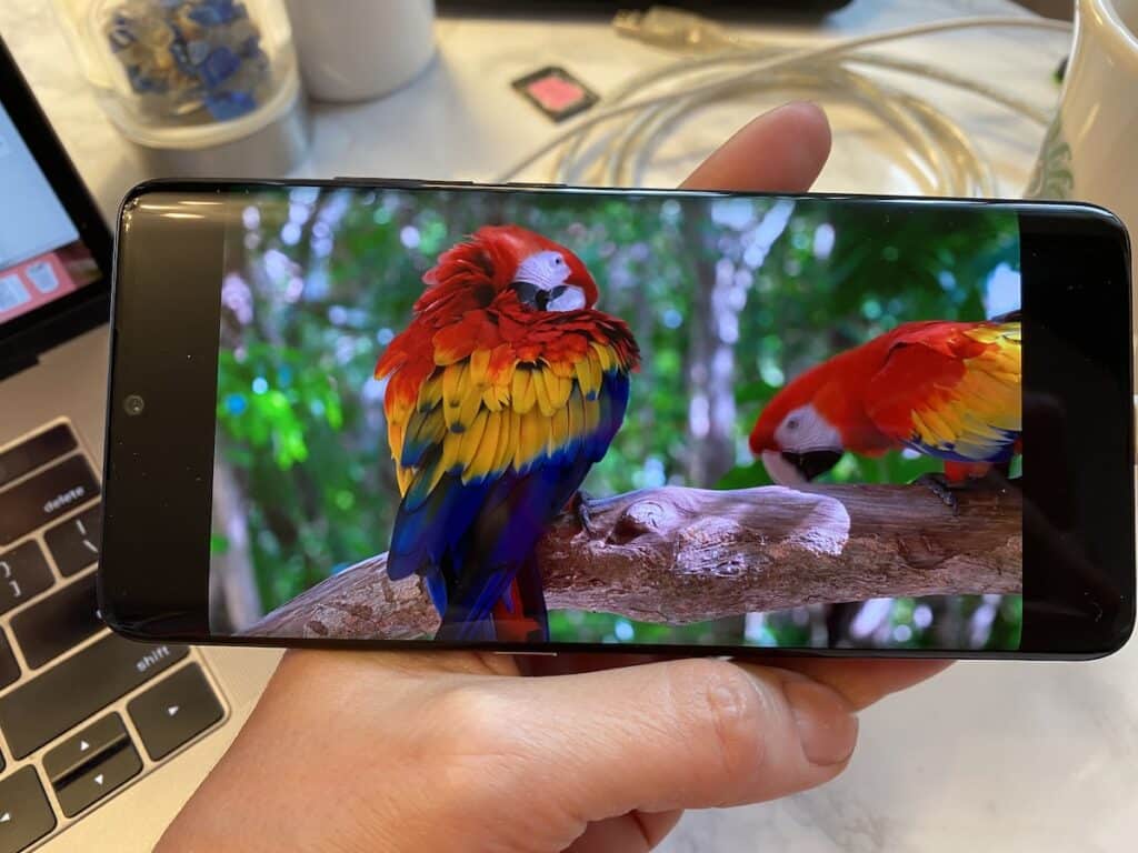 tcl, 10 pro, review, phone