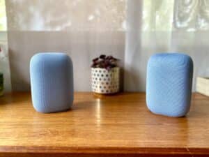Nest Audio stereo pair, review