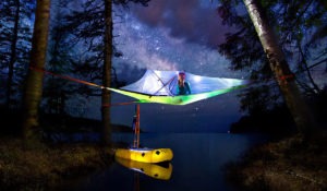 tentsile tent air suspended tree