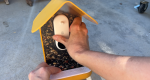 Bird Buddy Review