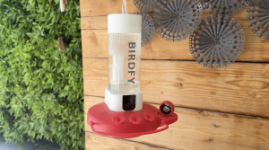 Birdfy Hum Feeder