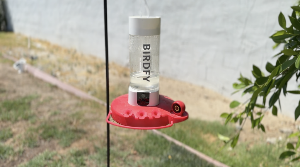 Birdfy Hum Feeder