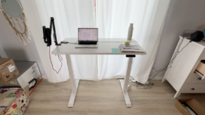 FlexiSpot Desk review