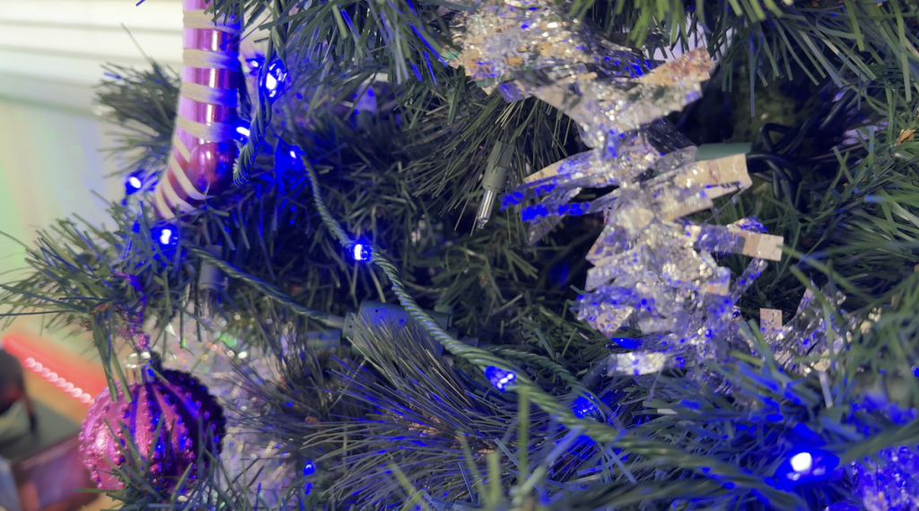 Govee Christmas String Lights 2 Review