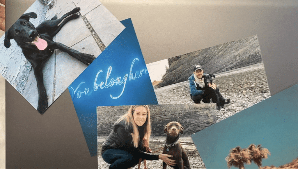 HP, sprocket, studio, printer, photo, review