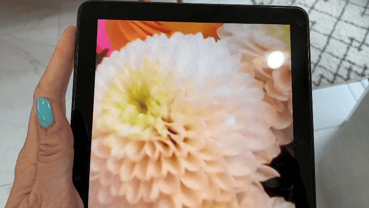 erin,tech,technology,review,blogger,vlogger,canada,usa,america,best,gadget,how to,split screen,amazon,fire,hd,tablet,10,11th gen,generation,split the screen,two windows,two tabs,dual,open two, review, how to, best, worth it, price, screen, bright, battery, last, faster, lag, laggy, slow, cheap, durable