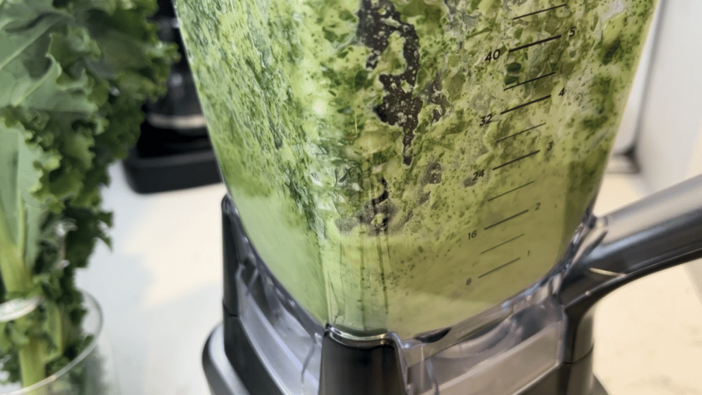 Ninja professional blender 1000, review