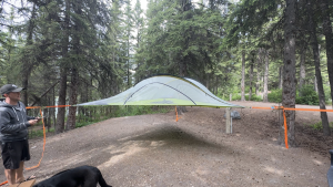 Tentsile Stingraty tent.