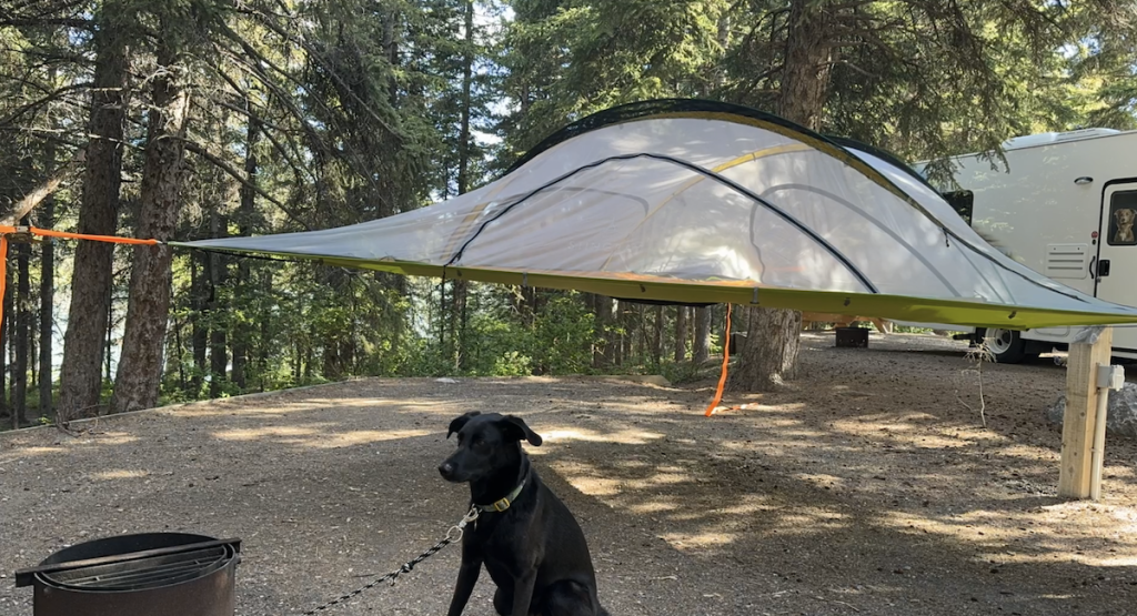 Tentsile Stingraty tent.